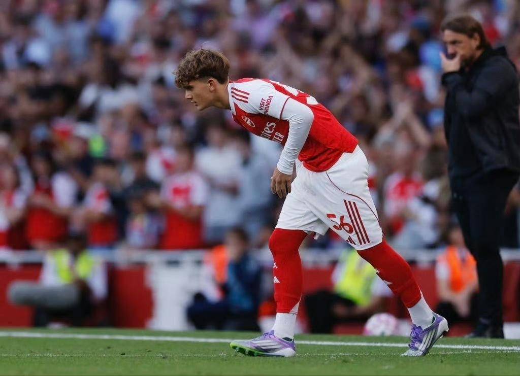 包含马德里竞技翻盘那不勒斯，哈兰德送出助攻的词条