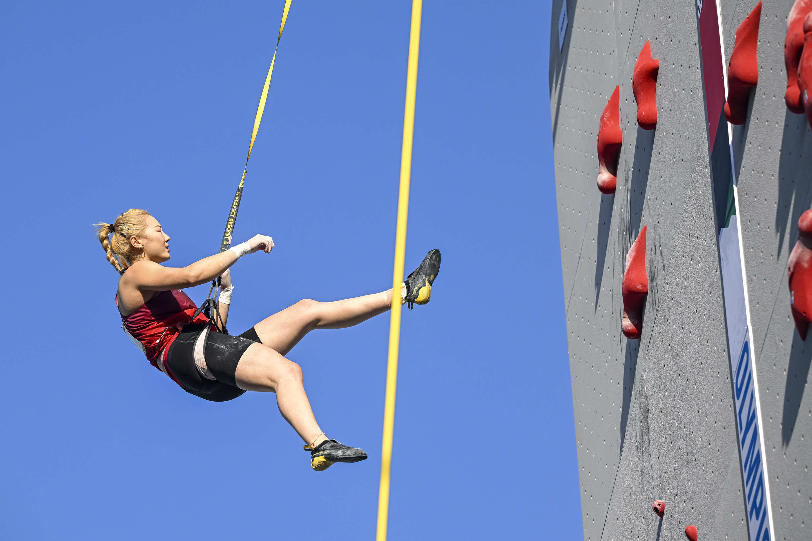 关于奥运会赛事精彩瞬间盘点，年度回顾震撼登场的信息